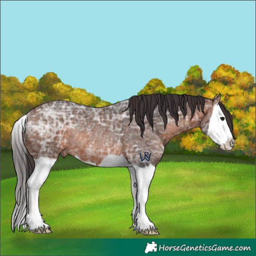 Horse Color:Brown Ice Splash Rabicano 