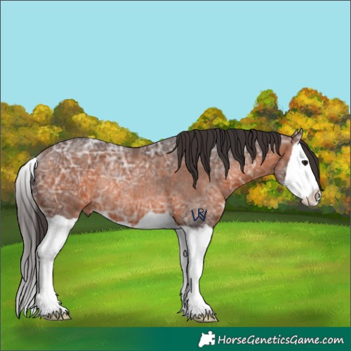 Horse Color:Brown Ice Splash Rabicano