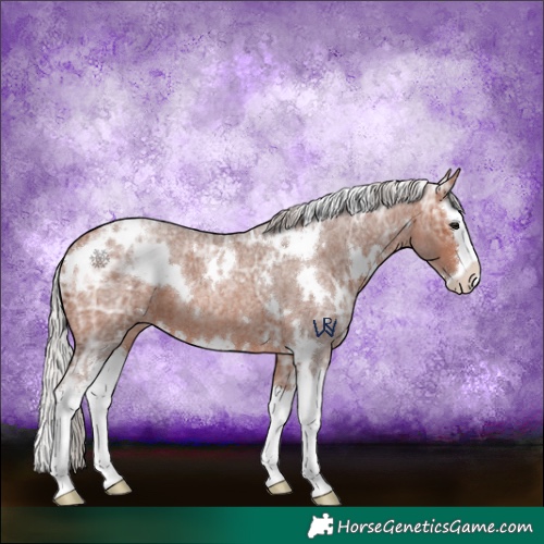 Horse Color:White Spotted Silver Brown Ice Roan Splash 