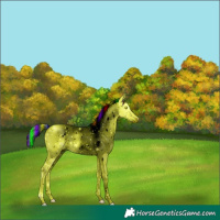 Horse Color:ERROR: UNKNOWN ANOMALY