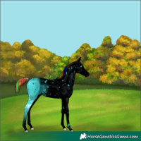 Horse Color:ERROR: UNKNOWN ANOMALY