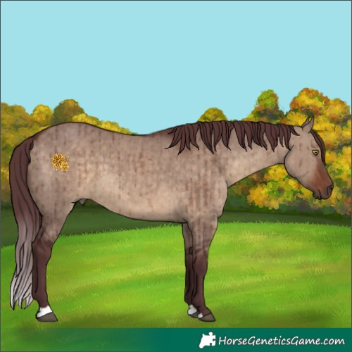 Horse Color:Chocolate Brown Dun Brindle 