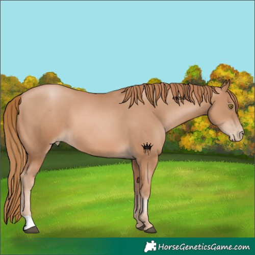 Horse Color:Chestnut Pearl 