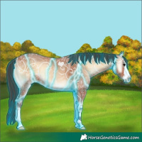 Horse Color:Thunderstruck Bay Ice Onyx 