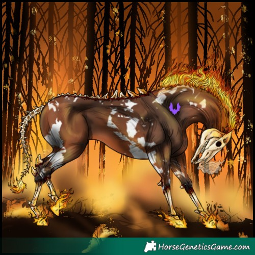 Horse Color:Bay Tobiano 