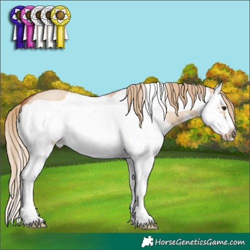Horse Color:Red Dun Roan Splash Frame 