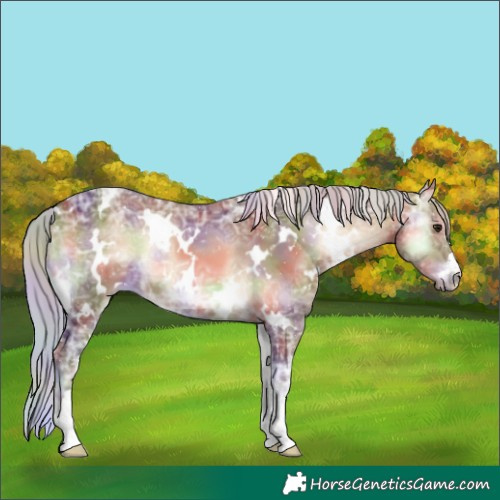 Horse Color:Nacre White Spotted Silver Brown Ice Onyx 
