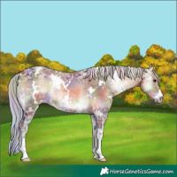 Horse Color:Nacre White Spotted Silver Brown Ice Onyx 