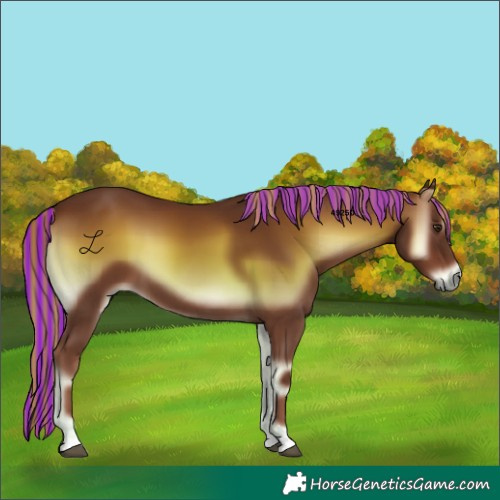 Horse Color:Painted Red Onyx 