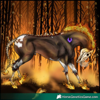 Horse Color:Bay Tobiano 