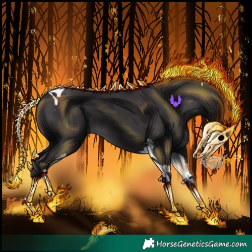 Horse Color:Smoky Black Tobiano 