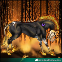 Horse Color:Smoky Black Tobiano 