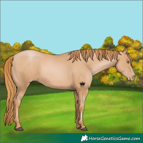 Horse Color:Chestnut Pearl 