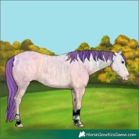 Horse Color:ERROR: UNKNOWN ANOMALY