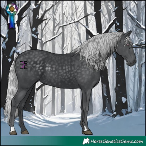 Horse Color:Silver Black Chinchilla 