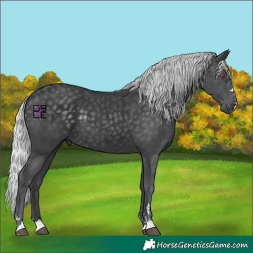 Horse Color:Silver Black Chinchilla 