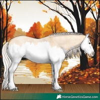 Horse Color:Silver Buckskin Roan Dun Splash