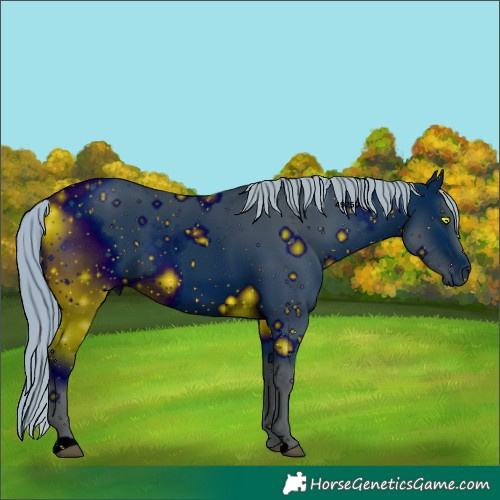 Horse Color:ERROR: UNKNOWN ANOMALY