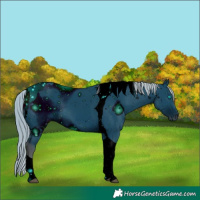 Horse Color:ERROR: UNKNOWN ANOMALY