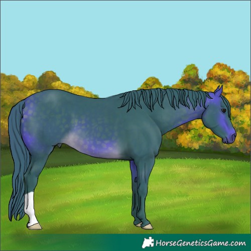 Horse Color:Watercolor Buckskin 