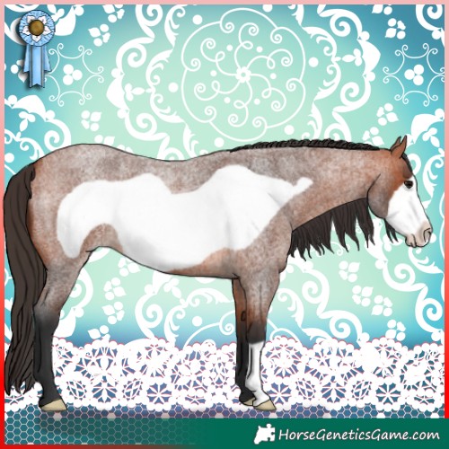 Horse Color:Bay Roan Frame 