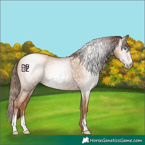 Horse Color:Gray Classic Champagne Pearl 