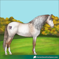 Horse Color:Gray Classic Champagne Pearl