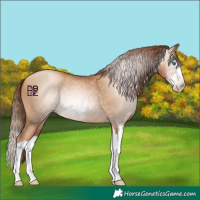Horse Color:Gray Amber Champagne Pearl Sabino Splash 