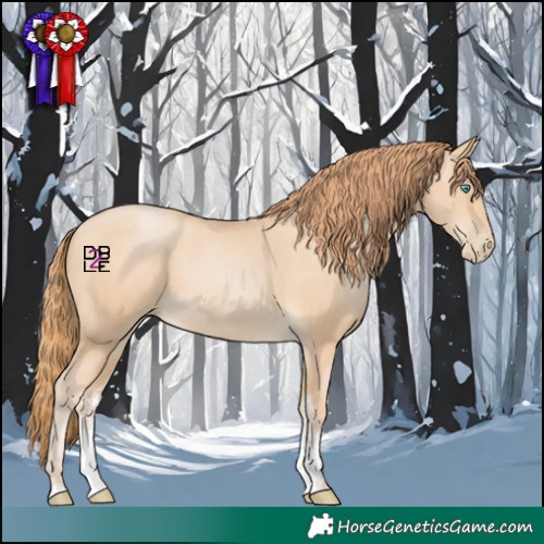 Horse Color:Buckskin Pearl Sabino 