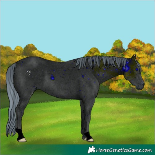 Horse Color:ERROR: UNKNOWN ANOMALY