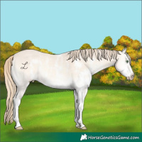 Horse Color:Perlino Onyx Sabino