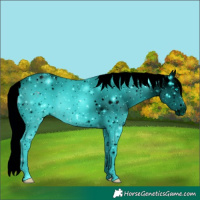 Horse Color:ERROR: UNKNOWN ANOMALY