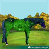 Horse Color:ERROR: UNKNOWN ANOMALY