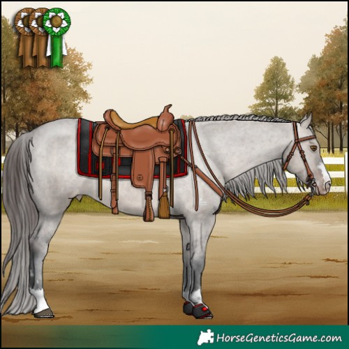 Horse Color:Brown Dun Mushroom Appaloosa 