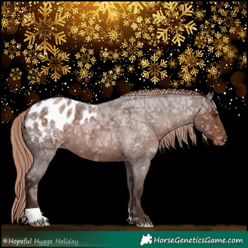 Horse Color:Liver Red Ice Roan Appaloosa 