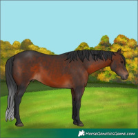 Horse Color:Brown 