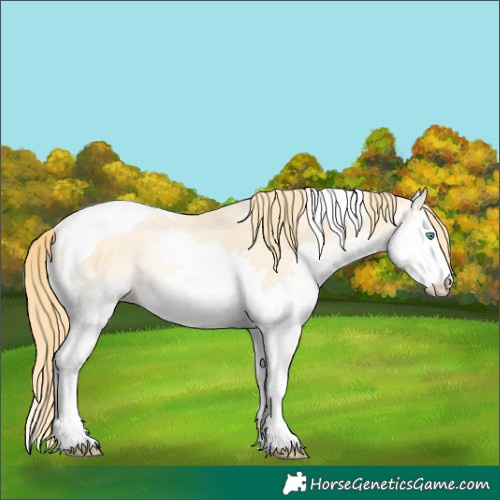 Horse Color:Buckskin Pearl Onyx Splash Tobiano Rabicano 