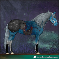 Horse Color:ERROR: UNKNOWN ANOMALY