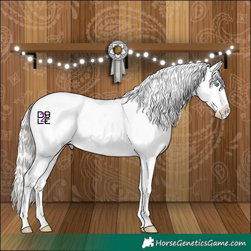 Horse Color:Silver Amber Champagne Pearl Tobiano Appaloosa 