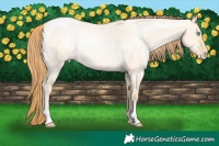 Horse Color:Buckskin Roan Pearl Dun Rabicano 