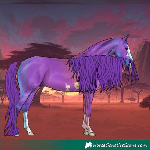 Horse Color:Watercolor Bay 