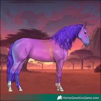 Horse Color:Watercolor Bay