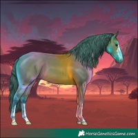 Horse Color:Watercolor Bay