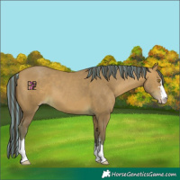 Horse Color:Painted Amber Champagne 