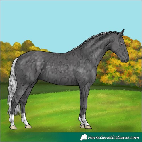 Horse Color:Silver Smoky Black Chinchilla Ice 