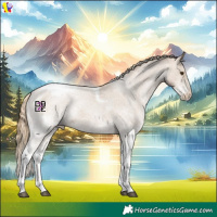 Horse Color:White Spotted Black Pearl Mushroom Tobiano Appaloosa 