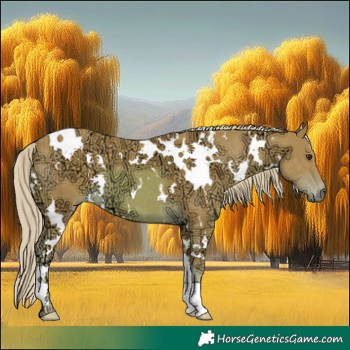 Horse Color:Watercolor White Spotted Chestnut Ice 