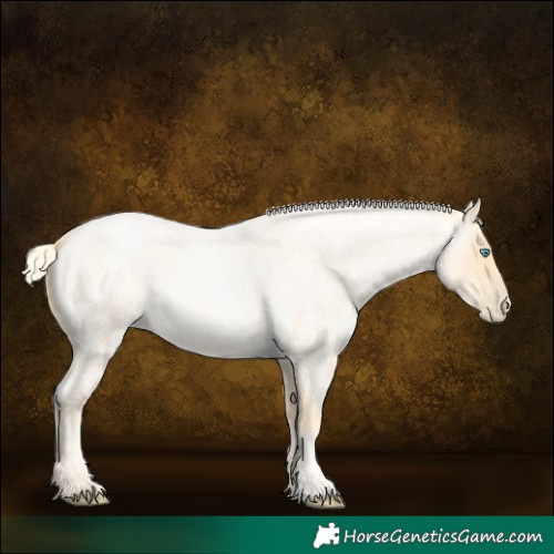 Horse Color:Palomino Roan Pearl  and Palomino Roan Pearl 