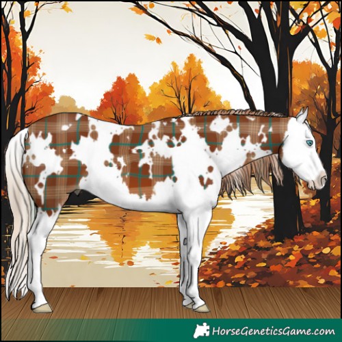 Horse Color:Plaid  White Spotted Chestnut Splash 