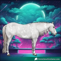 Horse Color:White Spotted Grullo Appaloosa 